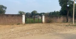 1000 sq. yd. Plot for Farmhouse in Sohna for Sale