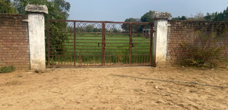 1000 sq. yd. Plot for Farmhouse in Sohna for Sale