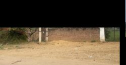 1000 sq. yd. Plot for Farmhouse in Sohna for Sale