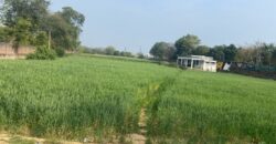 1000 sq. yd. Farmhouse in Sohna for Sale