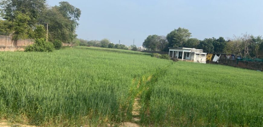 1000 sq. yd. Farmhouse in Sohna for Sale