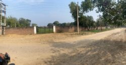 1000 sq. yd. Plot for Farmhouse in Sohna for Sale