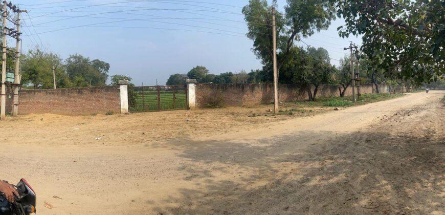 1000 sq. yd. Farmhouse in Sohna for Sale