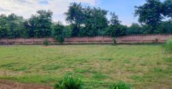 1000 sq. yd. Farmhouse in Sohna for Sale