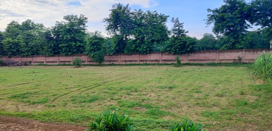 1000 sq. yd. Plot for Farmhouse in Sohna for Sale