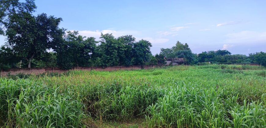 1000 sq. yd. Plot for Farmhouse in Sohna for Sale